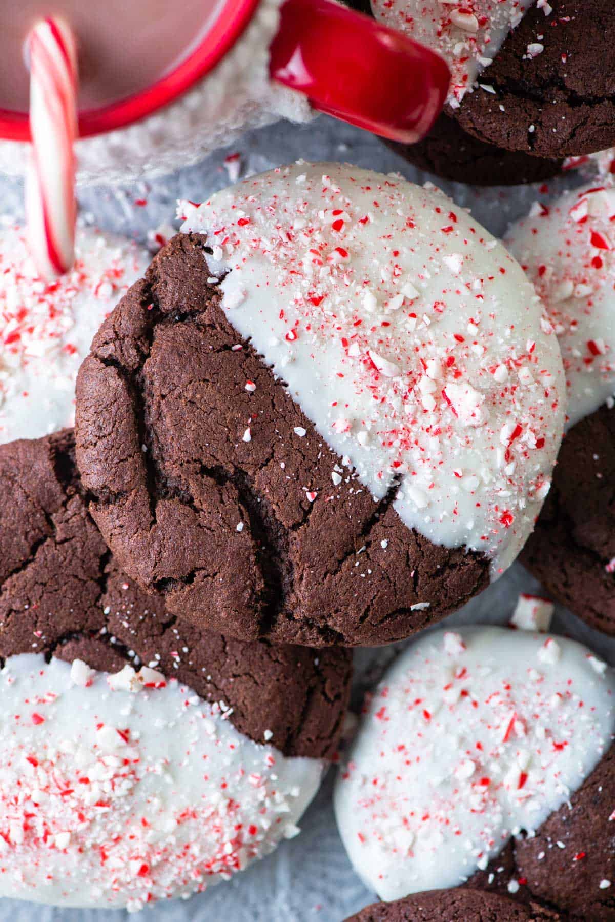 Chocolate Candy Cane Cookies (Peppermint-Dipped)