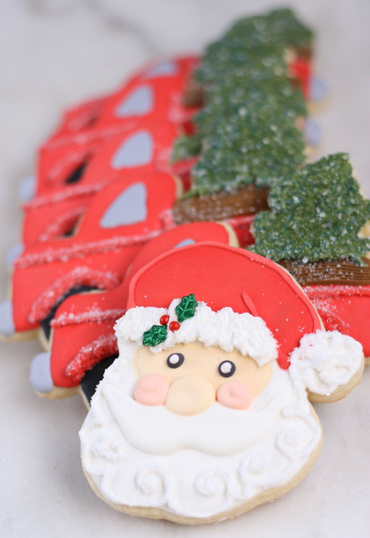 Christmas Decorated Sugar Cookies with Royal Icing