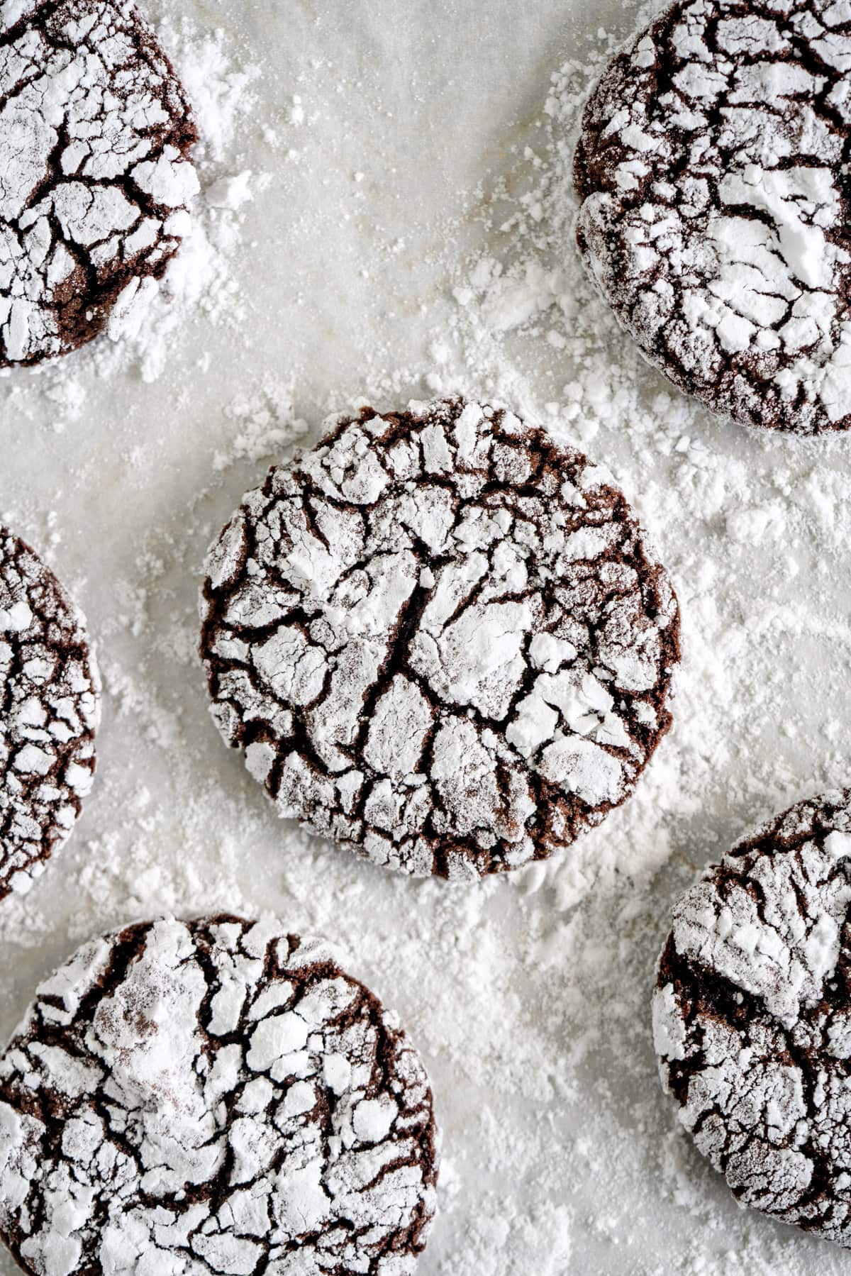 Dutch Cocoa Crinkle Cookies