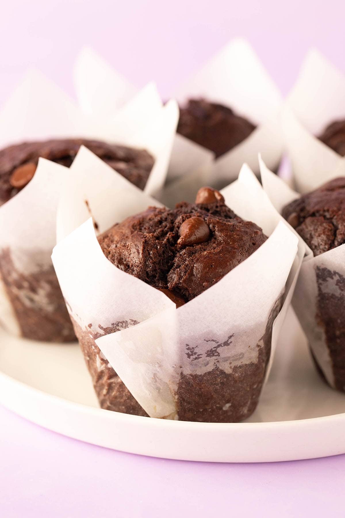 Double Chocolate Muffins