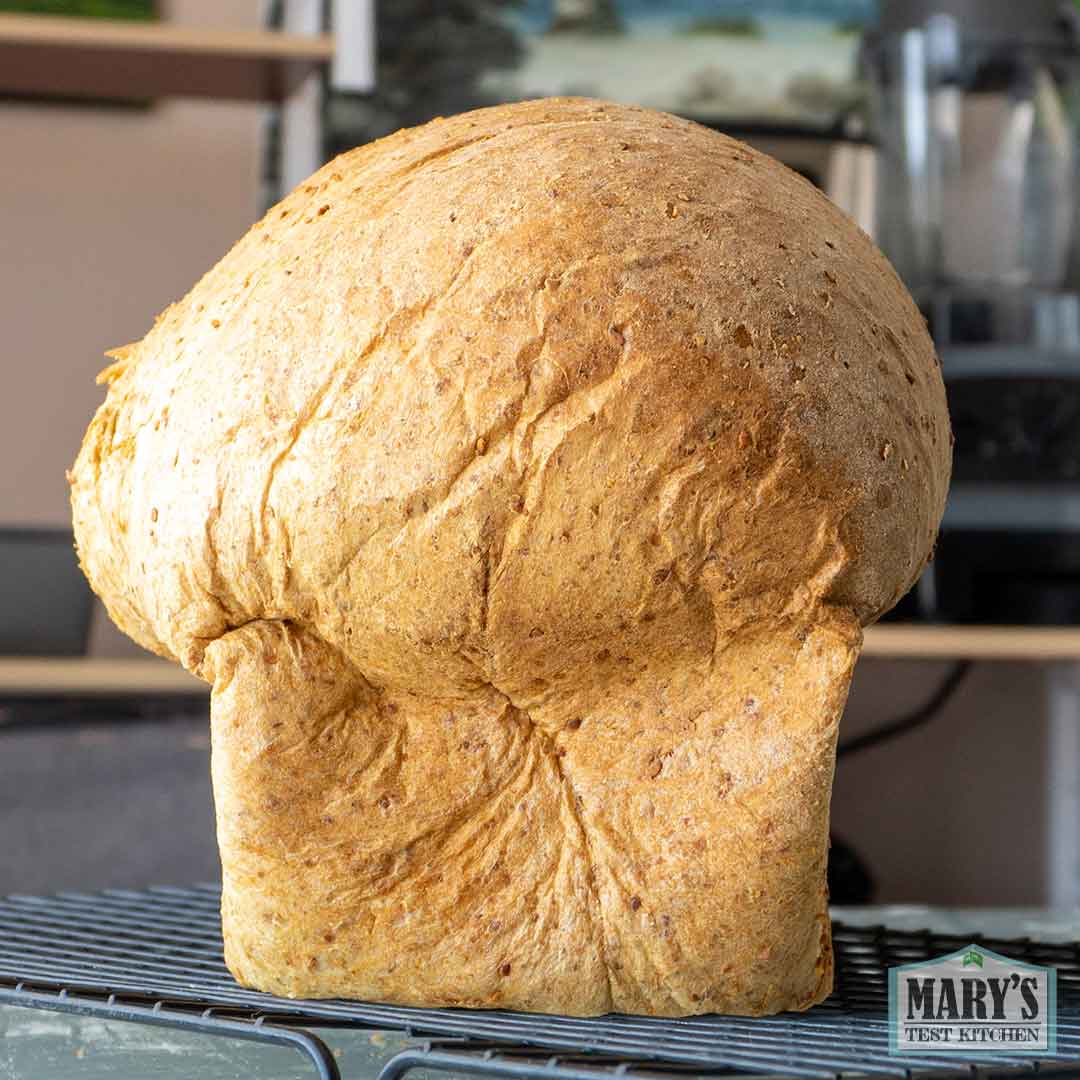 Vegan Keto Sandwich Bread Loaf